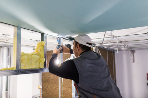 Best Garage Insulation Installation  in Watford City, ND