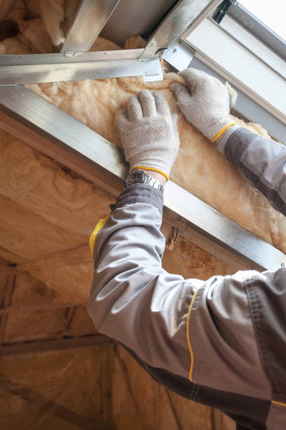 Best Best Insulation Companies  in Watford City, ND